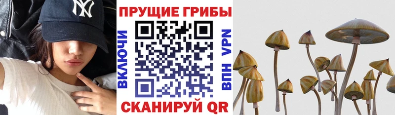 кракен ССЫЛКА  Энгельс  Псилоцибиновые грибы прущие грибы 